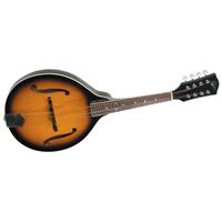 Rover RM-50E Deluxe Student Mandolin w/ Pickup